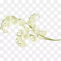 博客1可能是山谷的百合花-空若网 博客1可能是山谷的百合花-空若网