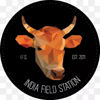 鼻子字体-印度牛-空若网 鼻子字体-印度牛-空若网