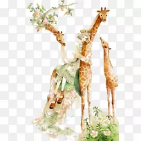 ¹ˮ�ʻ�u6cbbu6108u7cfb��ͼ-¹-������