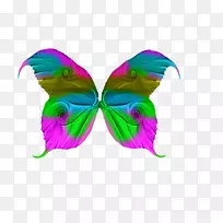 蓝色紧身胸衣摄影紧身上衣-isp-空若网 蓝色紧身胸衣摄影紧身上衣-isp-空若网