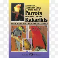 爱鸟,鹦鹉,小鹦鹉(āRiki)-鹦鹉-空若网 爱鸟,鹦鹉,小鹦鹉(āRiki)-鹦鹉-空若网