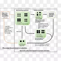电子线路字体线-空若网 电子线路字体线-空若网