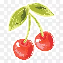 樱桃天然食品超级食品-奶昔碗-空若网 樱桃天然食品超级食品-奶昔碗-空若网