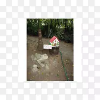 ������-��-������