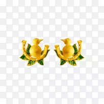 耳环体珠宝水果金鸟-空若网 耳环体珠宝水果金鸟-空若网