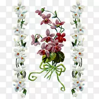 ��������л����컨-������