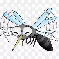 蚊虫蝇摇蚊科虫-昆虫-空若网 蚊虫蝇摇蚊科虫-昆虫-空若网