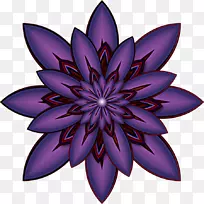 对称开花植物格局-莱拉花-空若网 对称开花植物格局-莱拉花-空若网