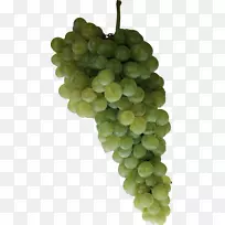 ÆÏÌÑÖÆÏÌѲÍÌüºì±¦Ê¯ÂÌÆÏÌÑPNGÐÎÏó-¿ÕÈôÍø ÆÏÌÑÖÆÏÌѲÍÌüºì±¦Ê¯ÂÌÆÏÌÑPNGÐÎÏó-¿ÕÈôÍø