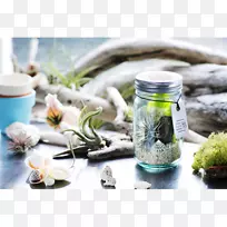 玻璃石匠缸水族馆玻璃-空若网 玻璃石匠缸水族馆玻璃-空若网