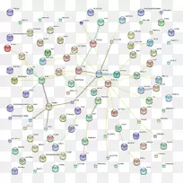 线点角有机体线-空若网 线点角有机体线-空若网