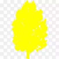 ����ֲ����Ҷ������-������