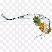 ²¤ÂÜÅçÎíºÍ²¤ÂÜ-¿ÕÈôÍø ²¤ÂÜÅçÎíºÍ²¤ÂÜ-¿ÕÈôÍø