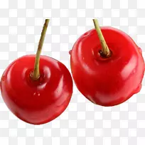 �ͰͶ�˹ӣ�Ұ¸���˹ʳƷ���ƻ��-ӣ��-������