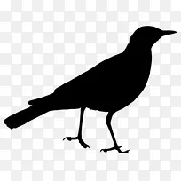 �Ĵ�������Ӱ������-�Ĵ�����-������