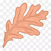 指叶-空若网 指叶-空若网