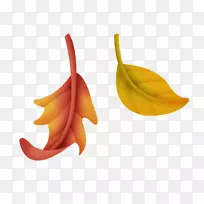 叶设计-空若网 叶设计-空若网