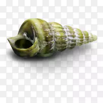 ����ţ���Ǽ�����.��ɫ����-������