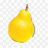 欧洲梨、亚洲梨、柑桔、朱诺果、梨-空若网 欧洲梨、亚洲梨、柑桔、朱诺果、梨-空若网