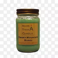 ����һ֧����ȼ��÷ɭ��-����-������