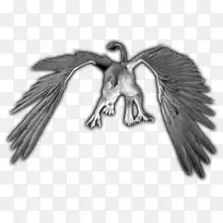 ��ë๰�ɫ�������-������