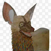 野生动物鼻子-野狗-空若网 野生动物鼻子-野狗-空若网