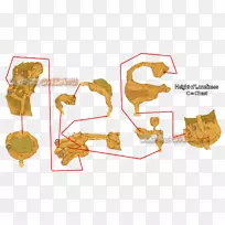 动物字体设计-空若网 动物字体设计-空若网