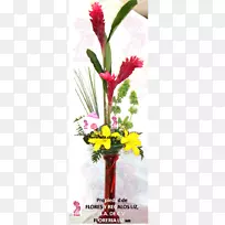 ��������л���ƿ-������