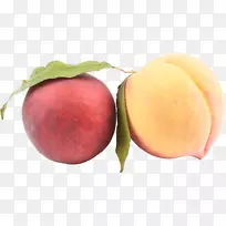 伊祖米萨诺桃子和奶油月桂科-桃子PNG图像-空若网 伊祖米萨诺桃子和奶油月桂科-桃子PNG图像-空若网