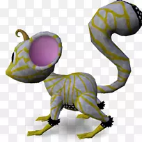 昆虫青蛙害虫瓢虫两栖昆虫-空若网 昆虫青蛙害虫瓢虫两栖昆虫-空若网