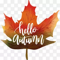 枫叶秋水彩画图标-水彩画枫叶你好秋-空若网 枫叶秋水彩画图标-水彩画枫叶你好秋-空若网