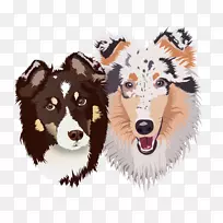 犬种群(犬)鼻子犬敏捷性-狗-空若网 犬种群(犬)鼻子犬敏捷性-狗-空若网