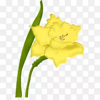 切花花卉设计-空若网 切花花卉设计-空若网