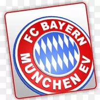 拜仁慕尼黑奥迪杯德甲dSG 1899霍芬海姆足球-足球-空若网 拜仁慕尼黑奥迪杯德甲dSG 1899霍芬海姆足球-足球-空若网