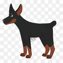 多伯曼奥姆科克猎犬澳大利亚凯尔派澳大利亚牛犬-空若网 多伯曼奥姆科克猎犬澳大利亚凯尔派澳大利亚牛犬-空若网