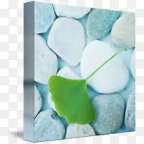 花瓣绿松石照相印刷宝石图像宝石-空若网 花瓣绿松石照相印刷宝石图像宝石-空若网