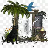 花盆树-空若网 花盆树-空若网