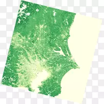 Ҷ-������