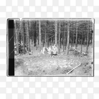 结束后的因果关系:被遗弃的命运、心灵的星星-空若网 结束后的因果关系:被遗弃的命运、心灵的星星-空若网