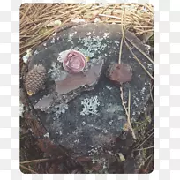 树-树-空若网 树-树-空若网