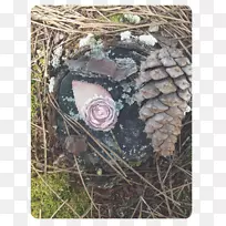 ��-��-������