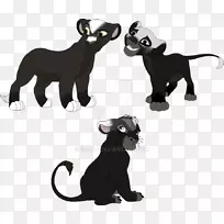 猫狗野生动物猫-空若网 猫狗野生动物猫-空若网