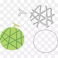 厚皮甜瓜果实基质-杨桃-空若网 厚皮甜瓜果实基质-杨桃-空若网