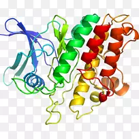 �߲��л���ϵ�м�����-�߲�-������