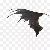 传奇生物-狮子翅膀-空若网 传奇生物-狮子翅膀-空若网