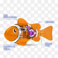 鱼缸-空若网 鱼缸-空若网