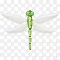 蜻蜓昆虫载体-蜻蜓-空若网 蜻蜓昆虫载体-蜻蜓-空若网
