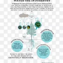 树线字型-空若网 树线字型-空若网