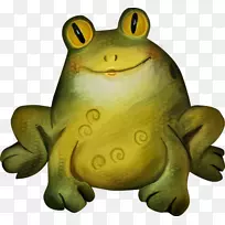 真蛙澳大利亚绿树蛙蟾蜍-空若网 真蛙澳大利亚绿树蛙蟾蜍-空若网