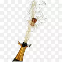 香槟酒的意思-词-空若网 香槟酒的意思-词-空若网